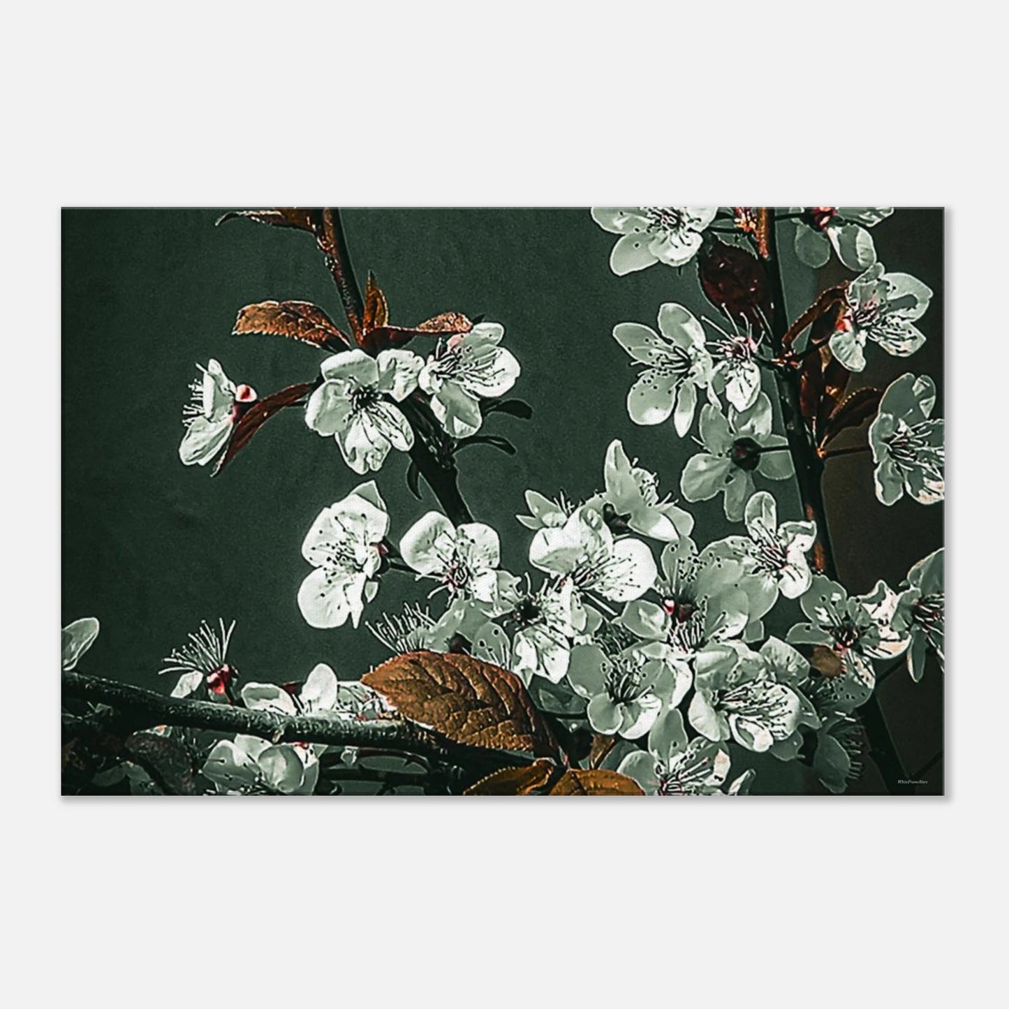 2c4f3d9d-a4cd-42f3-964e-cc1def72b063