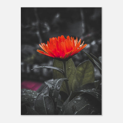 2c725de8-ff65-4576-9f82-e5ebff1e1da6