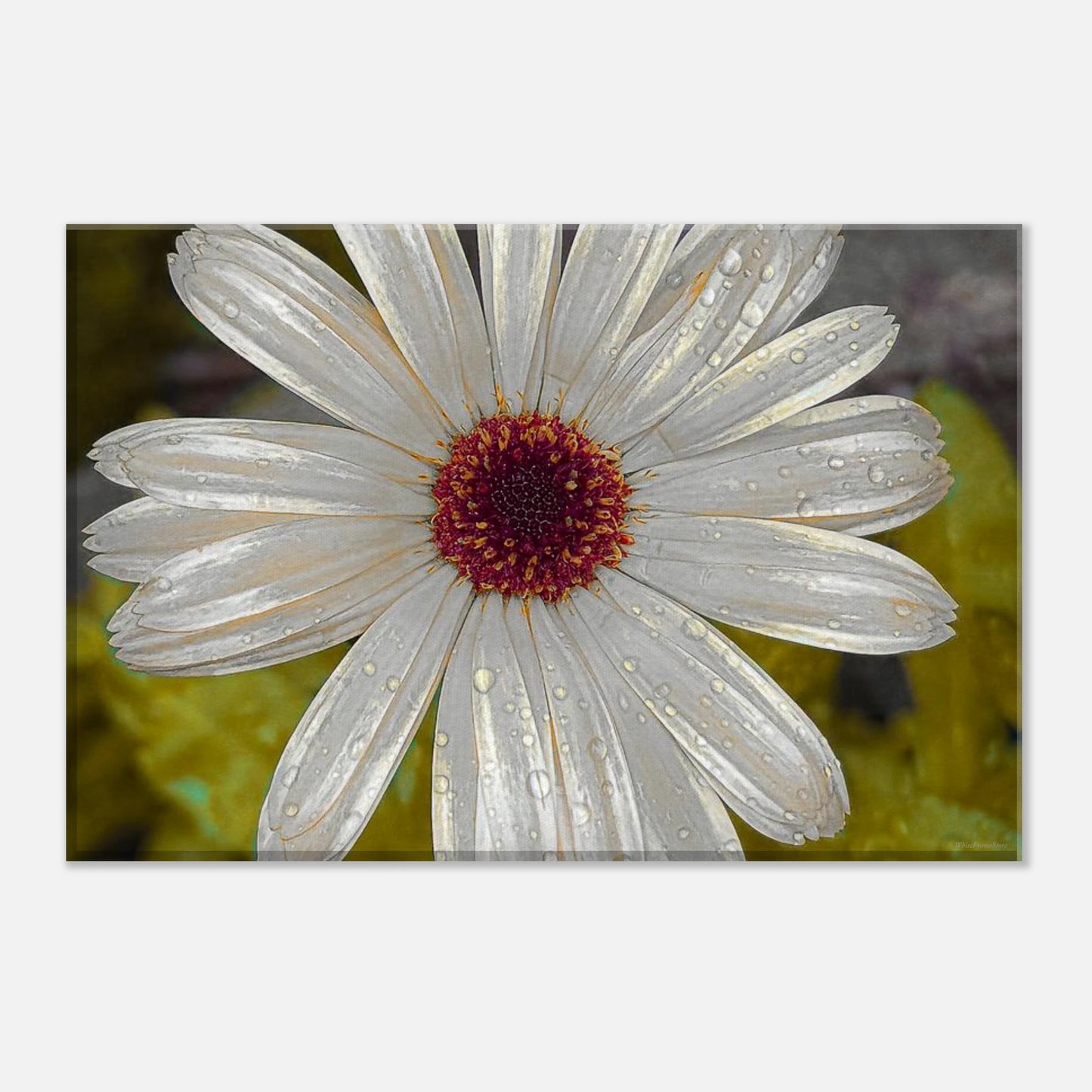 2c7e7440-9cdf-4503-93b6-ba73512bab40