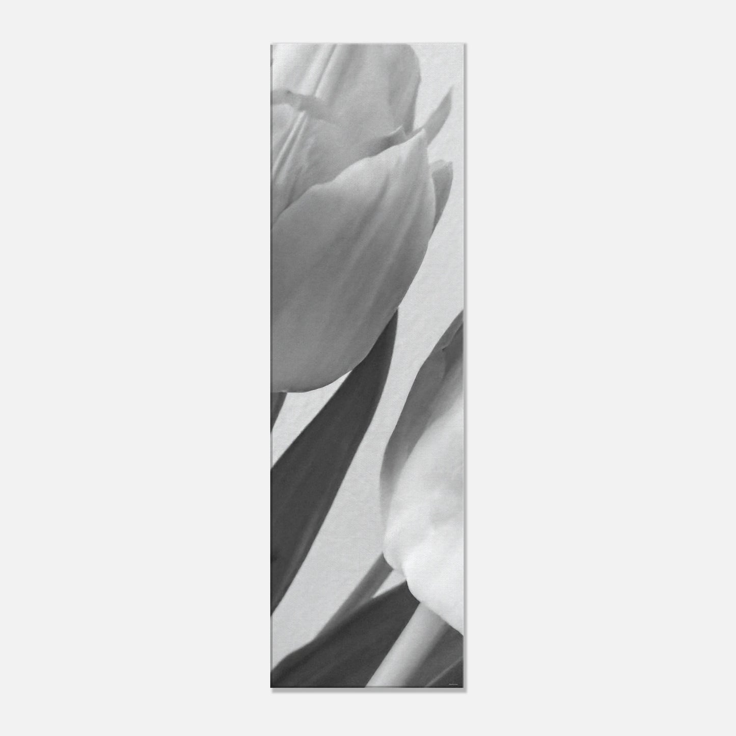 2c8b23d0-579a-4b04-9685-b88cc13b5a10