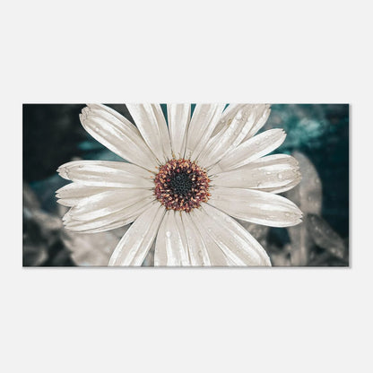 2ca0d55f-f33b-4cf6-b244-13551e6ca011