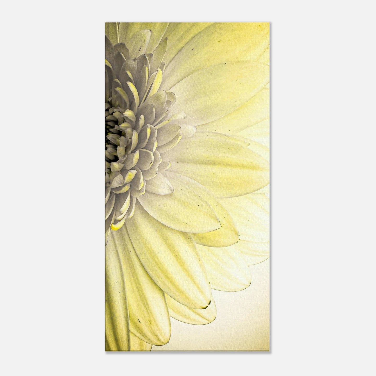 2cb09ac1-5fea-4f21-af68-2f5de404b780