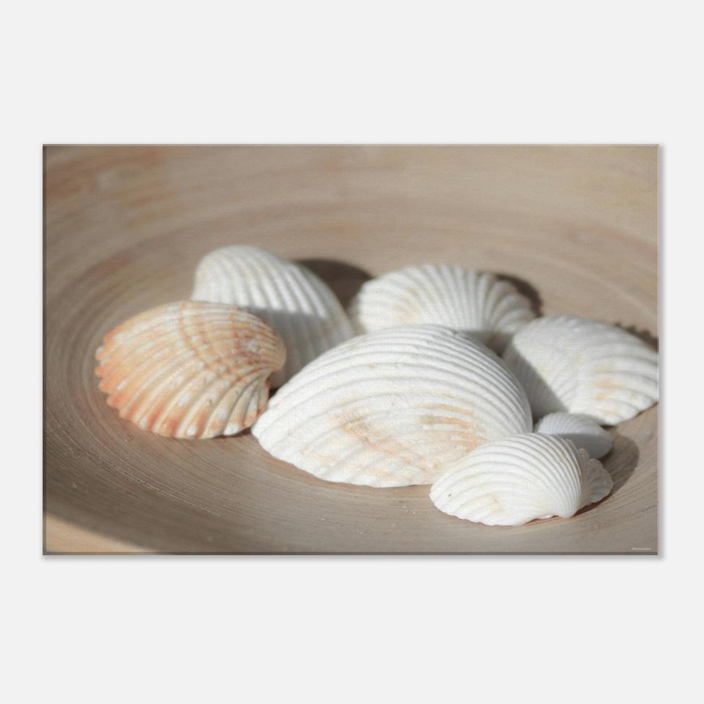 2cc57264-b8ab-422d-aac4-ae6ff66e9570