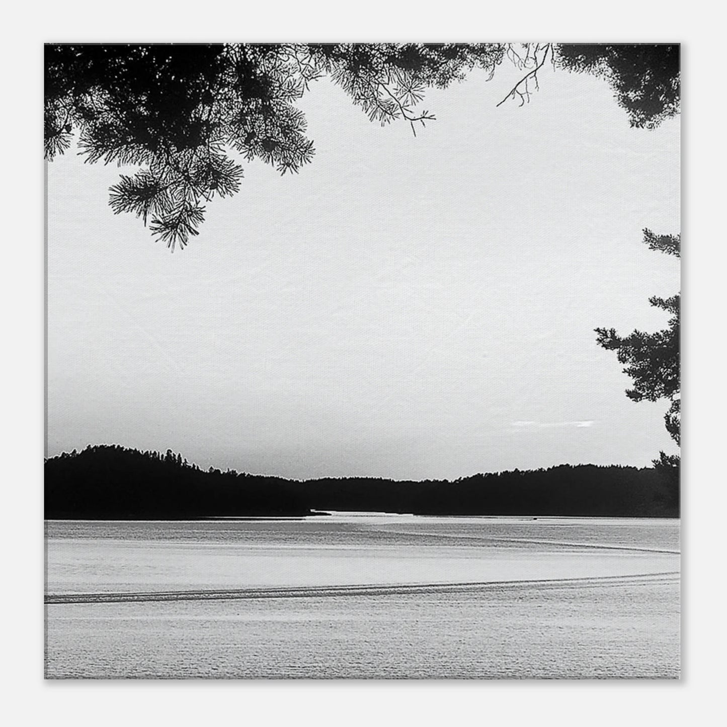 2cdb4dc8-1cb3-4005-899c-cea61bd316a3