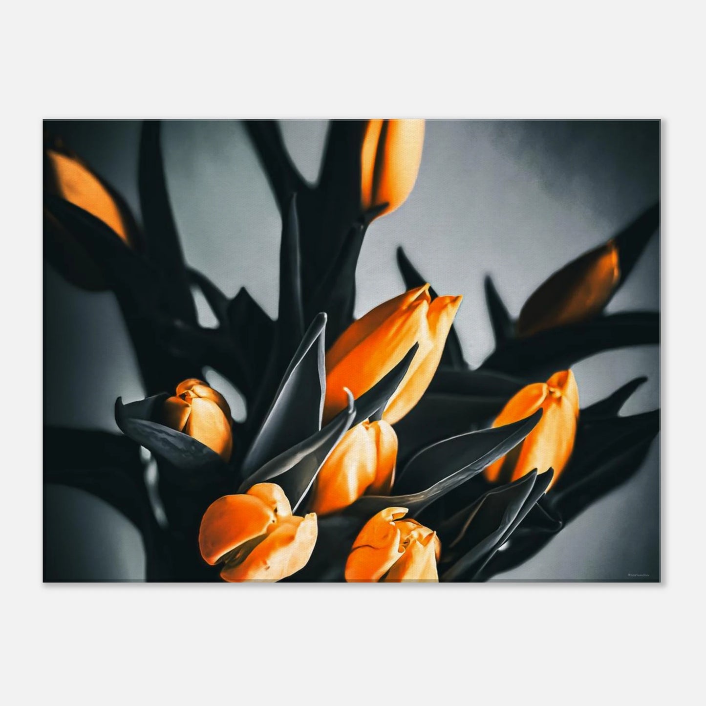 2d03cfc0-ea1e-4f17-8447-3f6f09c8e736