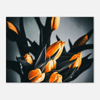 2d03cfc0-ea1e-4f17-8447-3f6f09c8e736