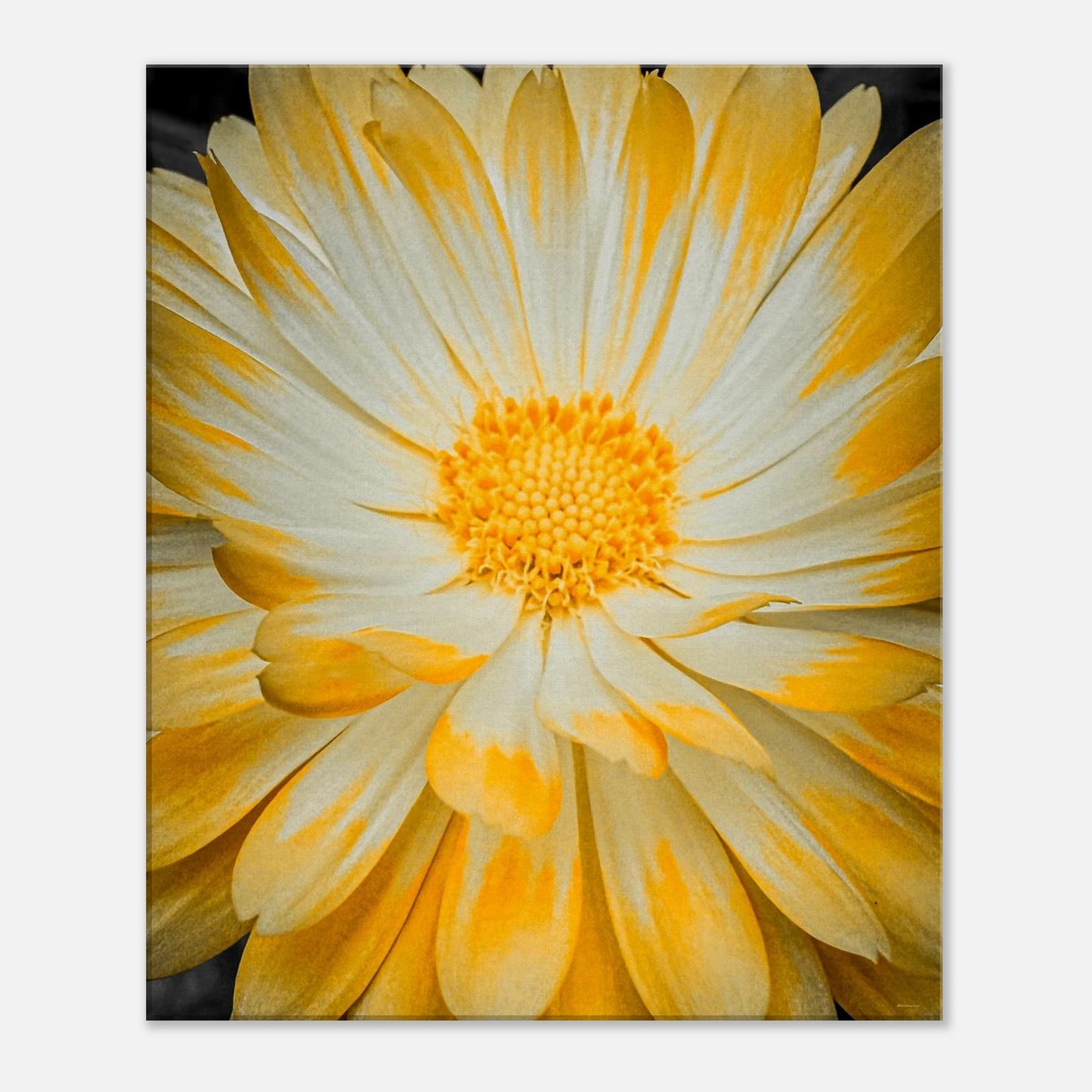 2d201ff7-2a56-4a05-9185-5c31e9f556bb