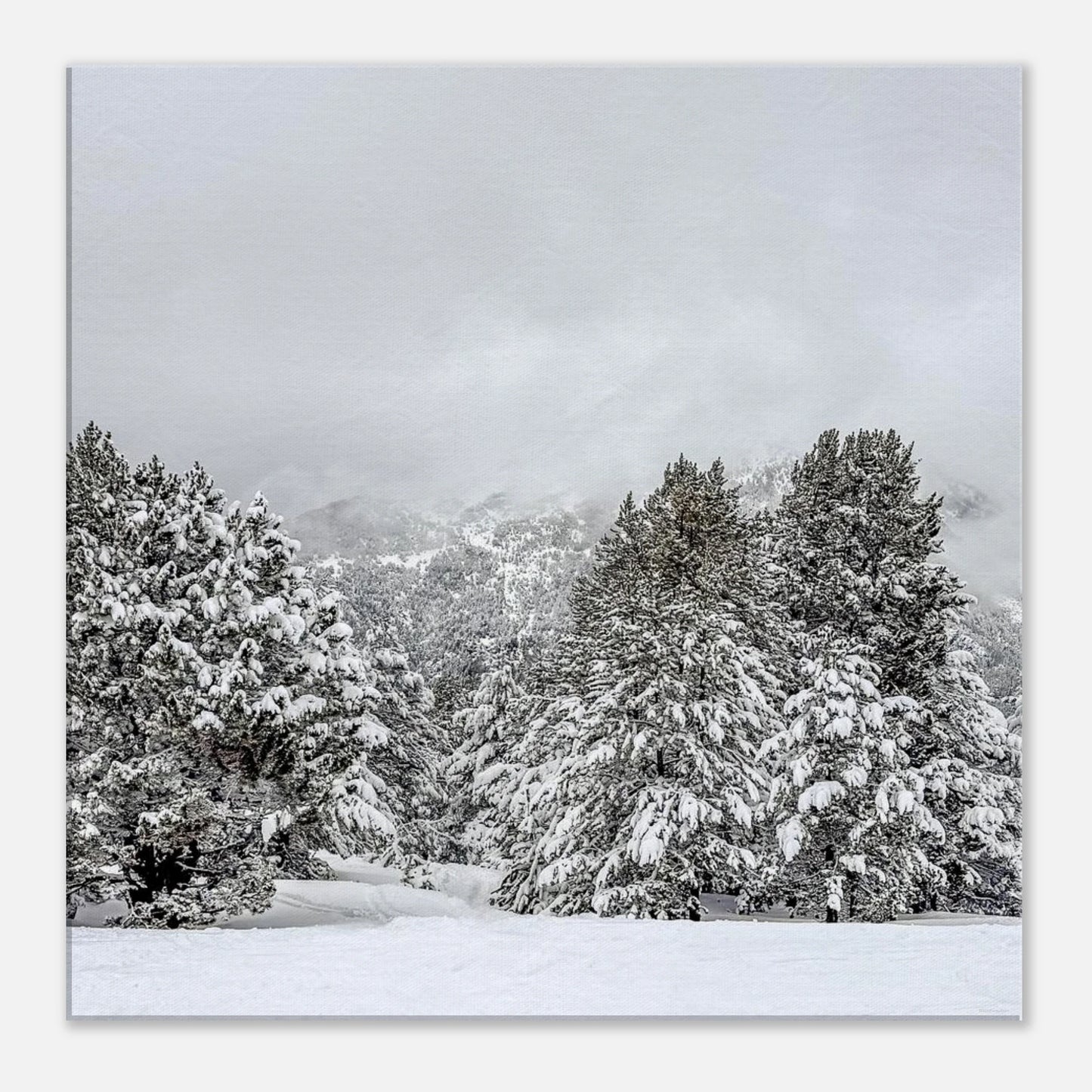 2d3b01c4-1ec1-4afc-b51e-36037a73fdca