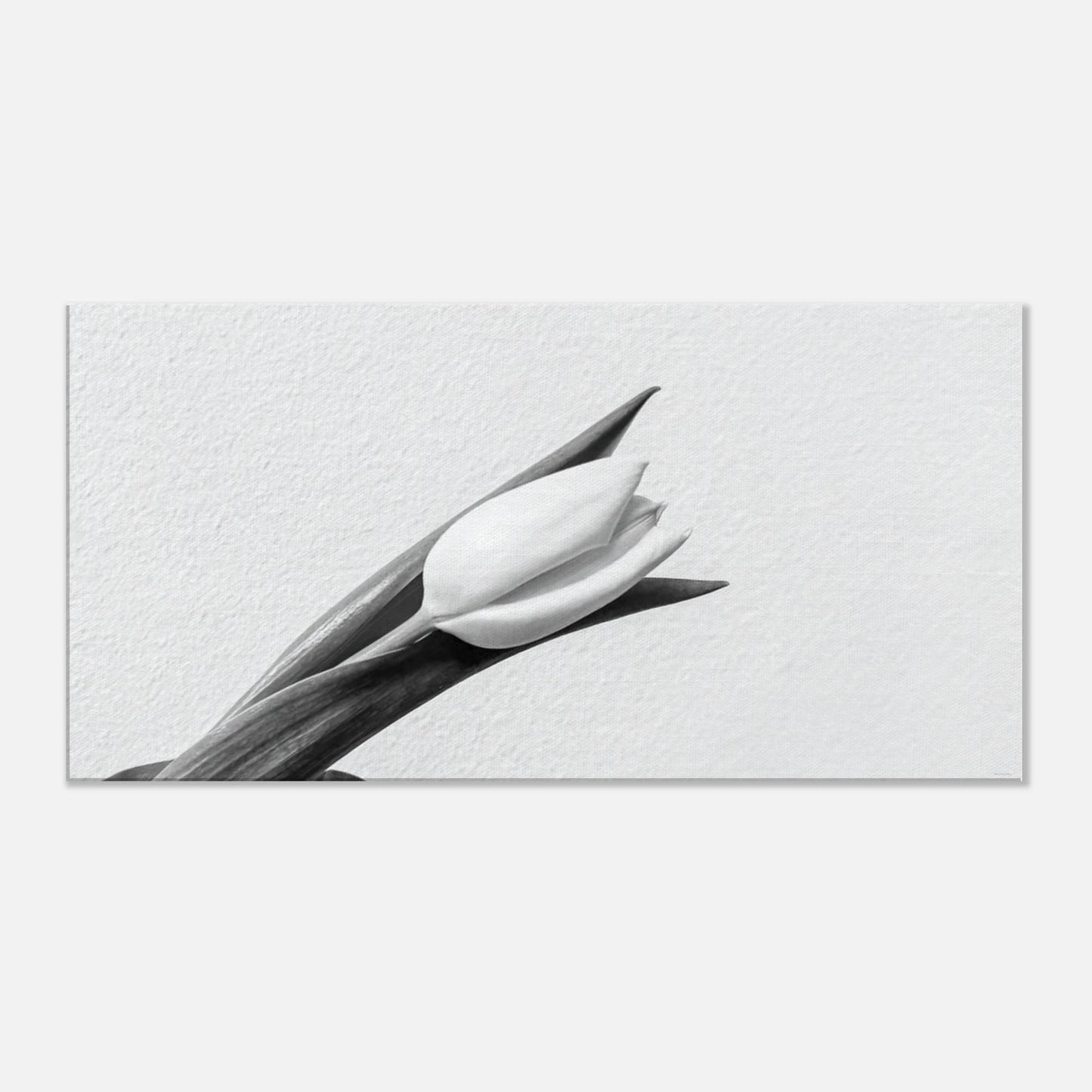 2d402da4-62d1-4fe9-b33c-7d66a1063683