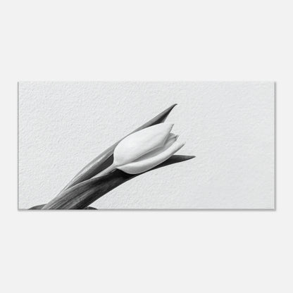 2d402da4-62d1-4fe9-b33c-7d66a1063683