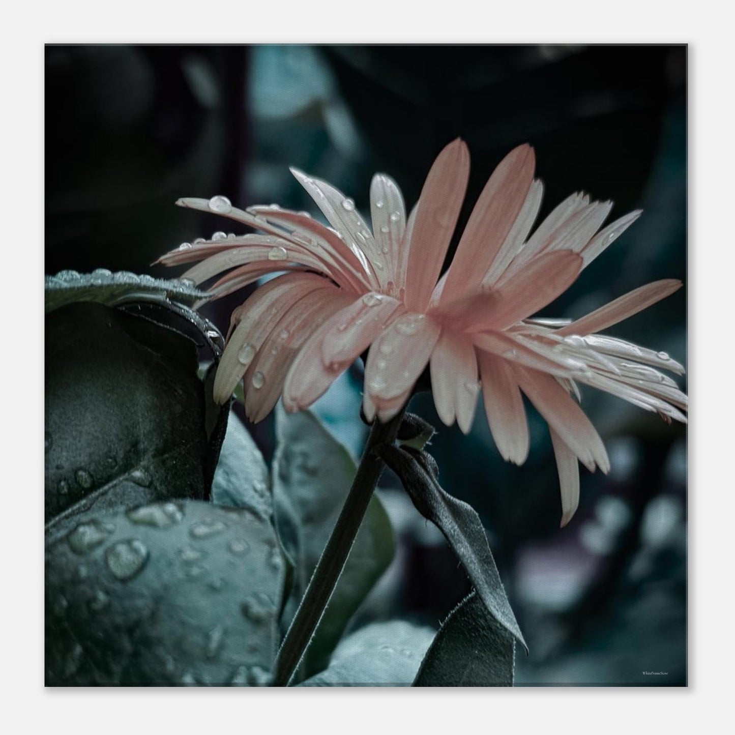 2d5bb045-51db-462b-94ac-1a87296c719e