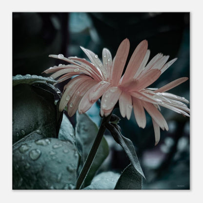 2d5bb045-51db-462b-94ac-1a87296c719e