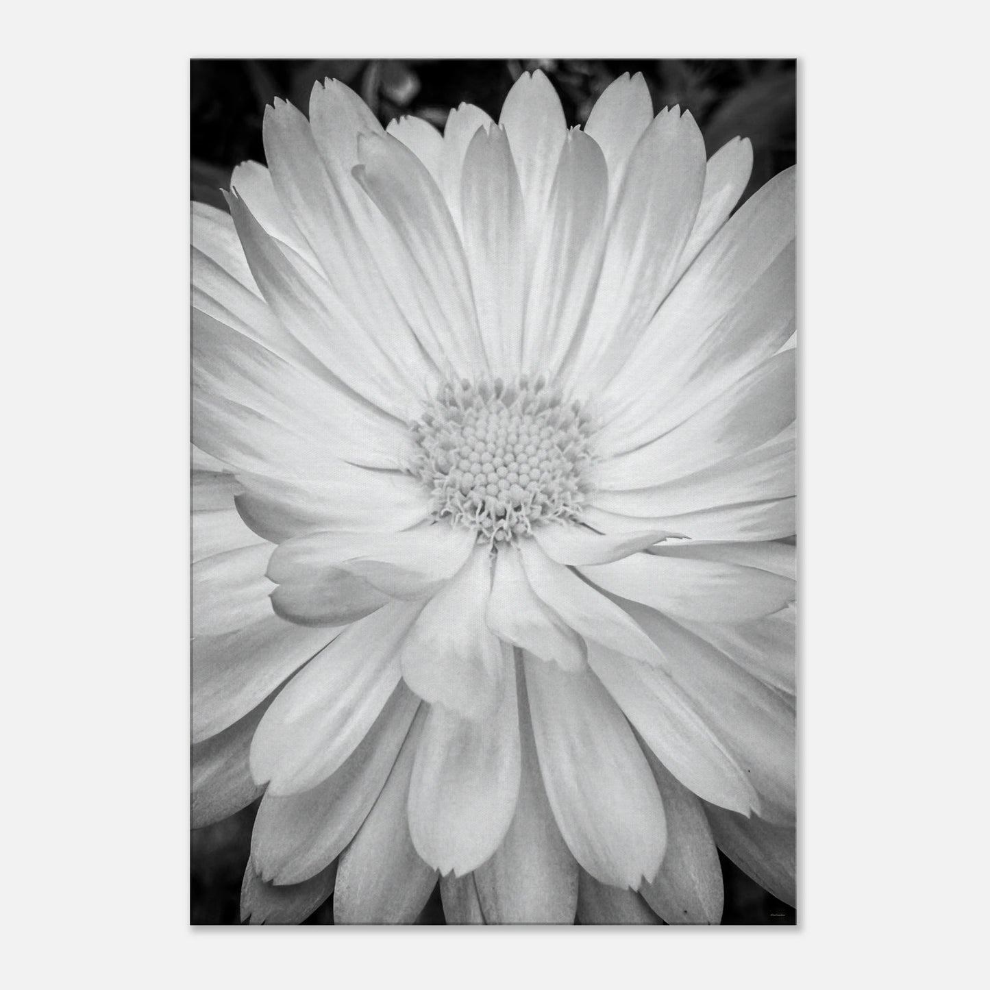 2db0fc77-1493-4efc-8f00-b4a7a62ed5e2