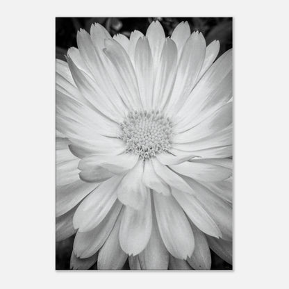 2db0fc77-1493-4efc-8f00-b4a7a62ed5e2