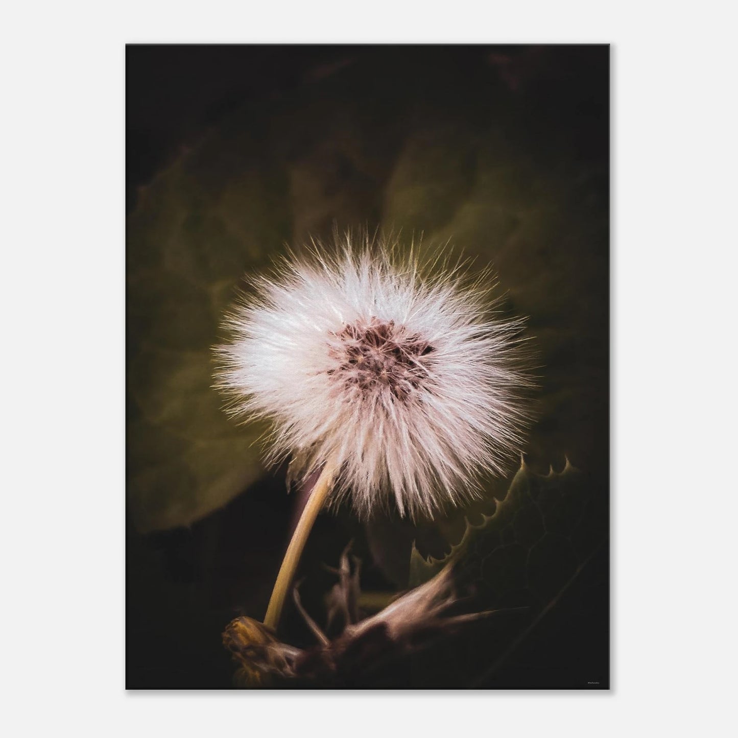 2dc2dc68-c827-40ec-abcf-4de6433f6f37