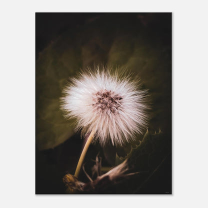 2dc2dc68-c827-40ec-abcf-4de6433f6f37