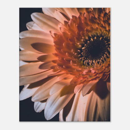 2ddbdce6-a66d-4214-b40e-8ead24649e10