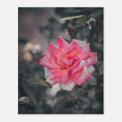 2deb38c7-cb9f-4486-824a-5029b242577f