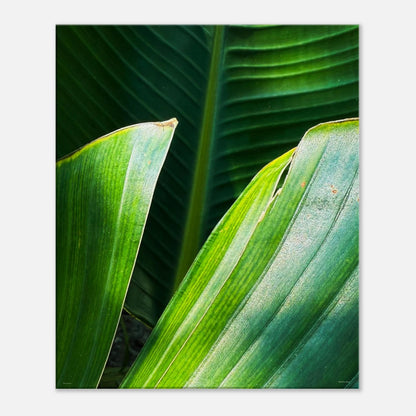 2df912f0-62f9-4c12-83e3-a184fae71c23