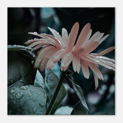 2e3e0d8c-386c-4b24-b5d3-af8bd3b51bfa