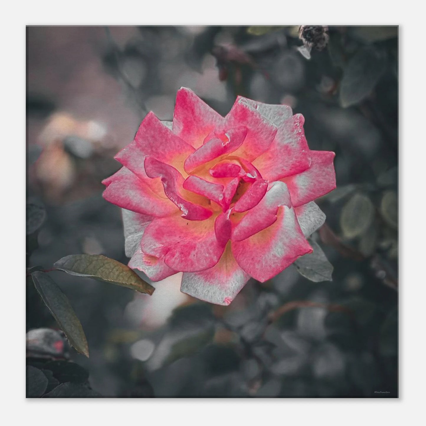 2e6ea20d-a5e5-4d52-b1c8-4745f07fcff9