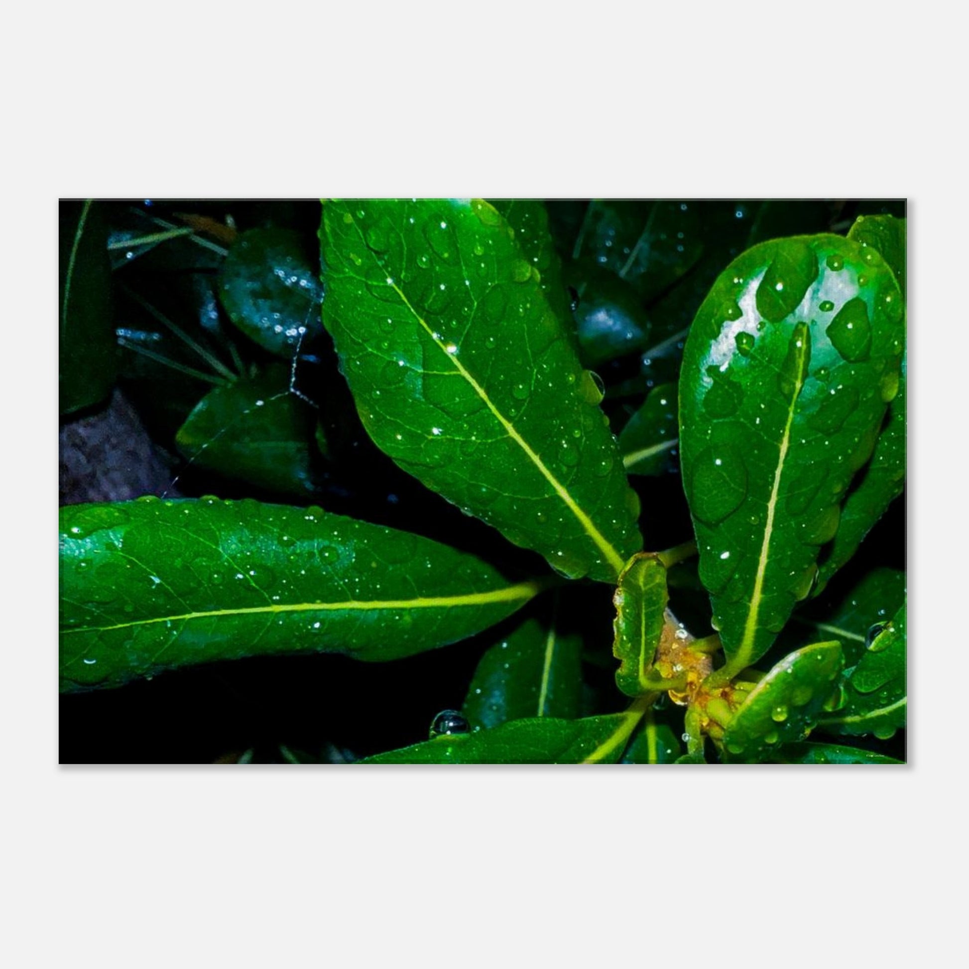 2e7aec5c-eeaf-448d-8827-4a17da541d73