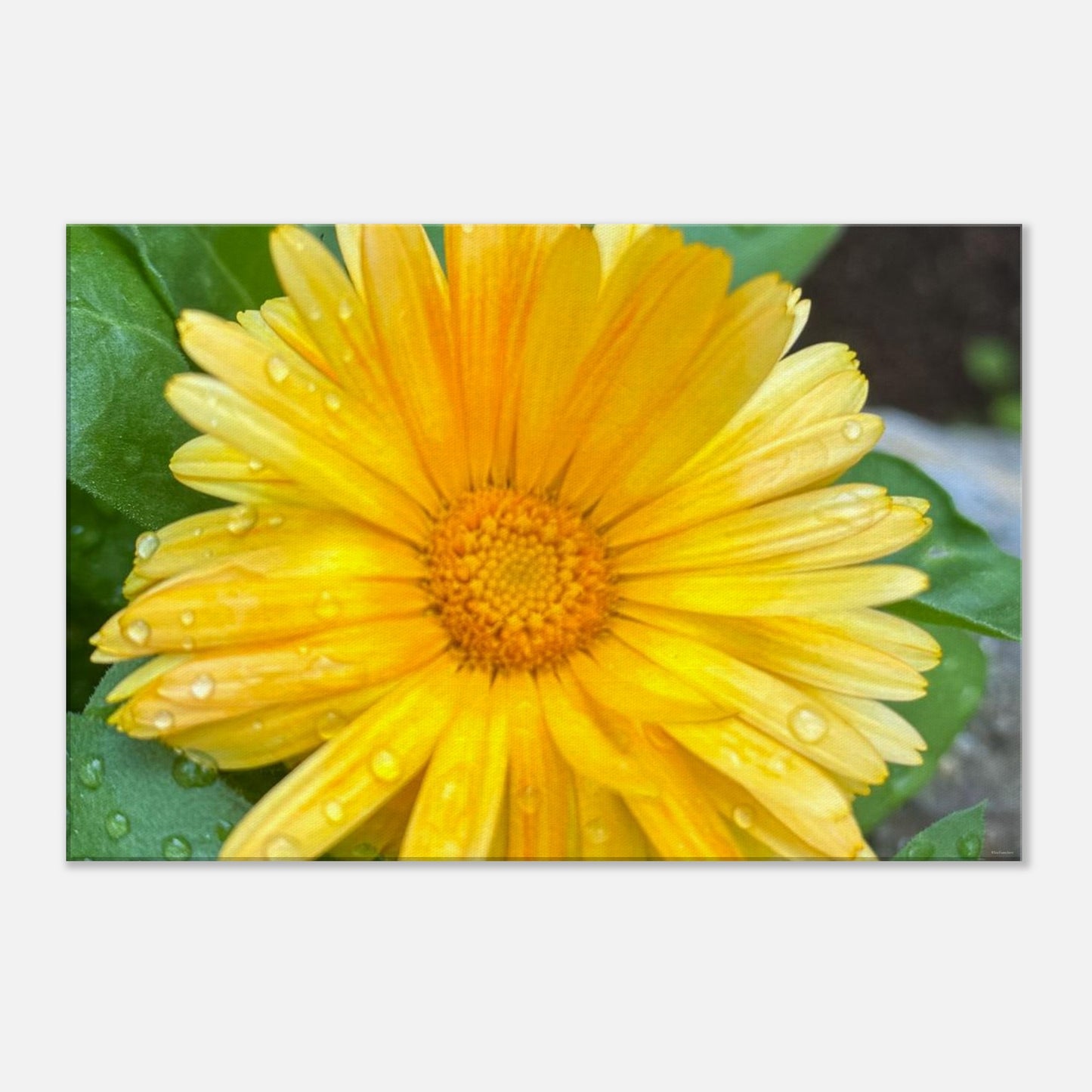 2e874293-64c7-4ca4-84e3-21571f775029