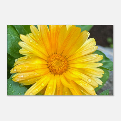 2e874293-64c7-4ca4-84e3-21571f775029