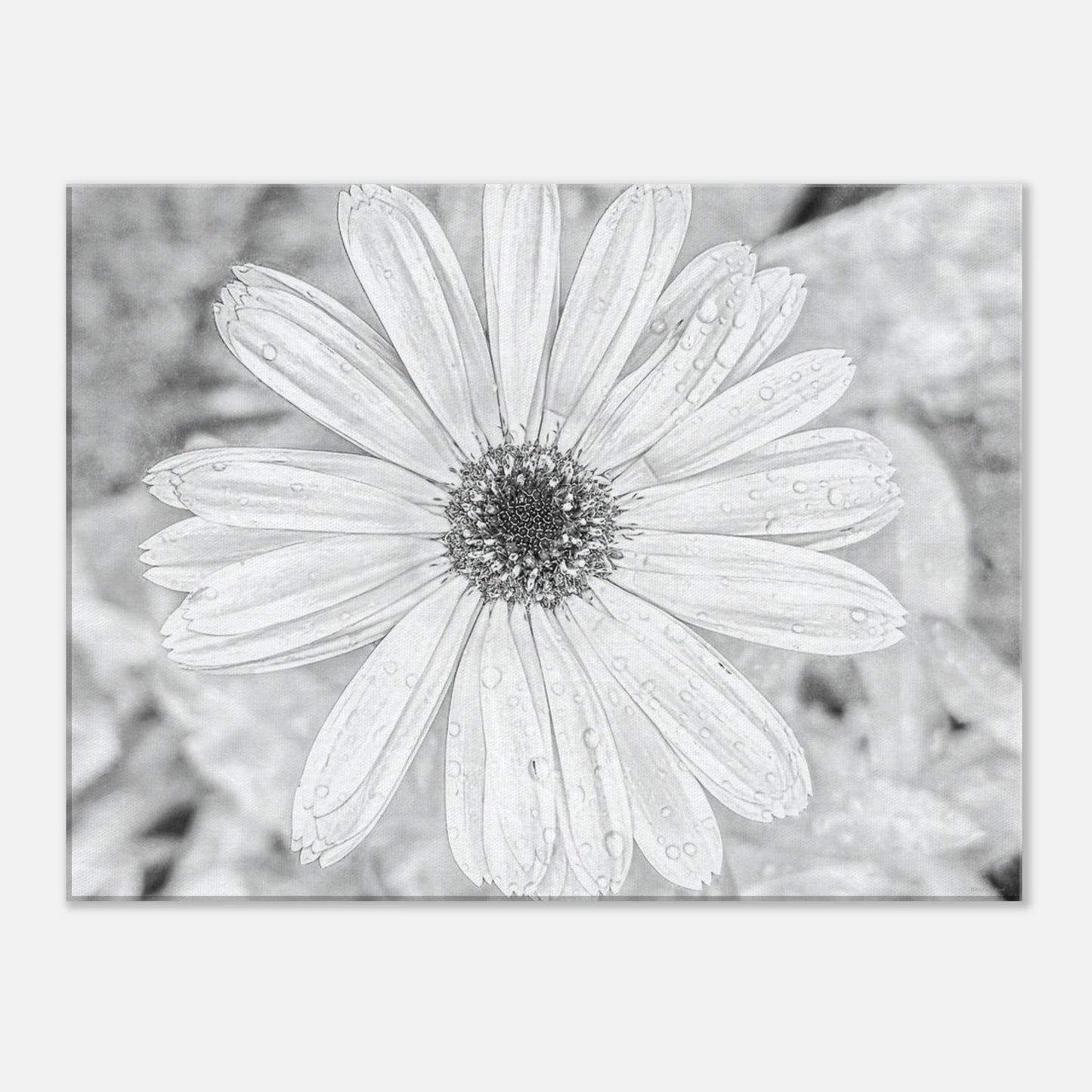 2ea5b96a-7c68-46aa-886c-8d8f65d1dbcf