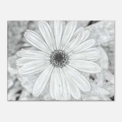 2ea5b96a-7c68-46aa-886c-8d8f65d1dbcf