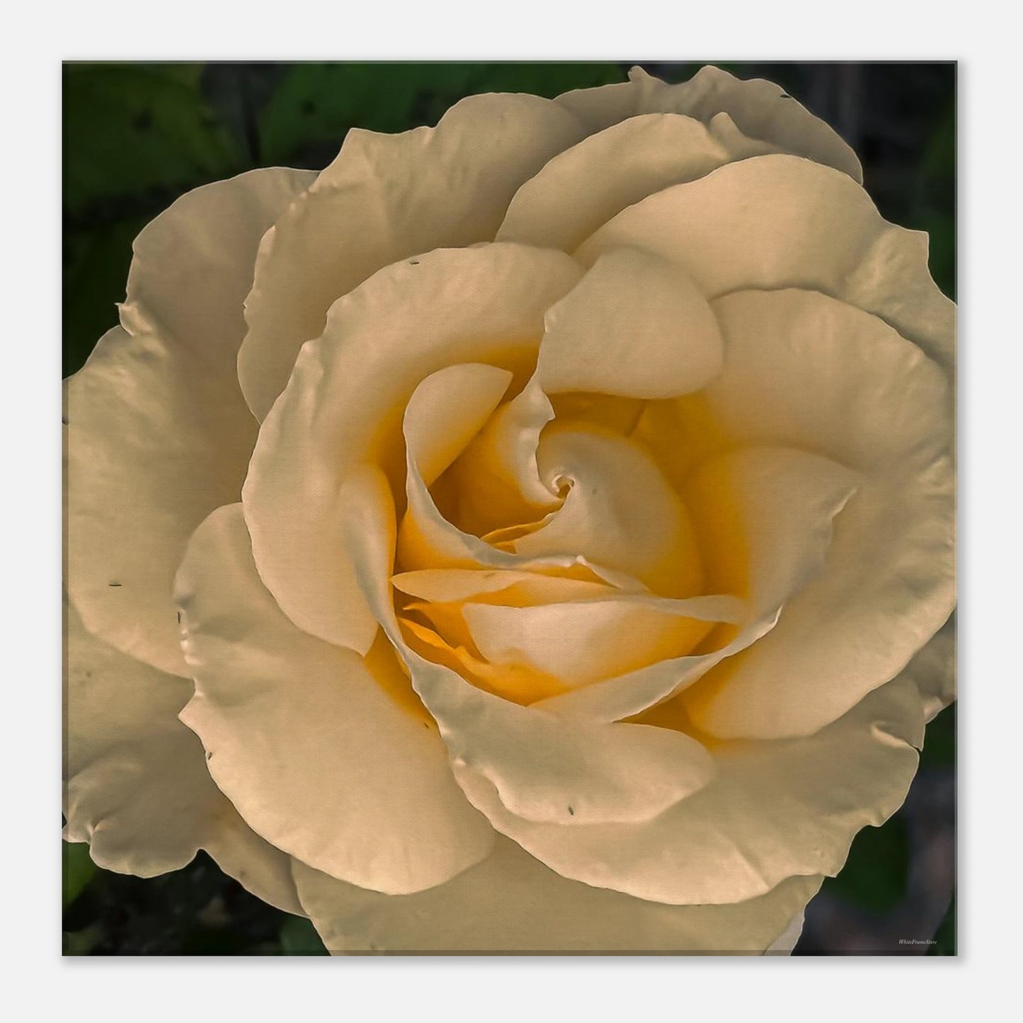 2ea602cb-a382-4c55-b6ad-bf2a0e582300