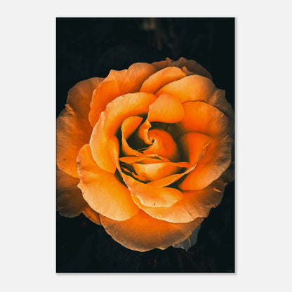 2ea90f86-bba1-481e-b41d-3804116aa3c8