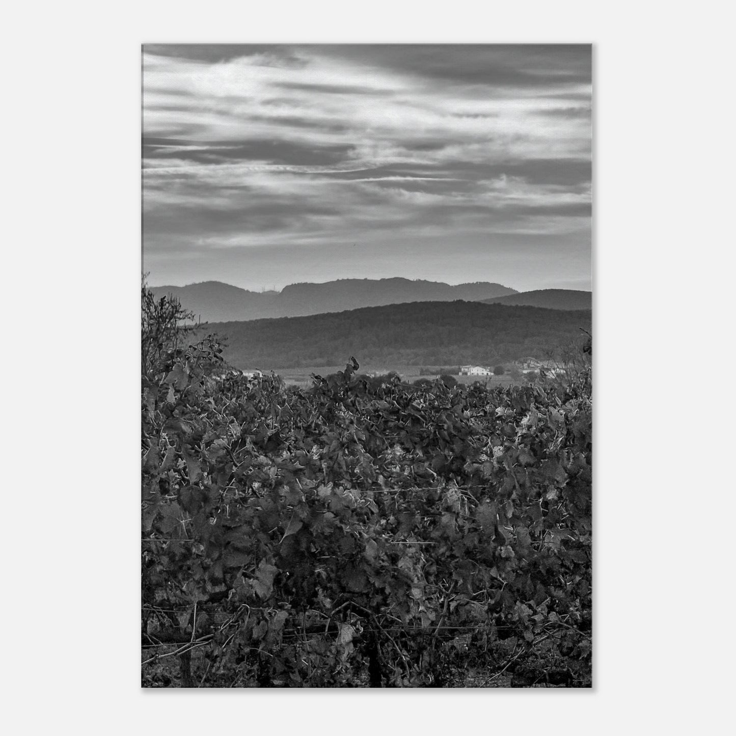 2eab3380-6f52-4f86-aeea-2cba08087d72