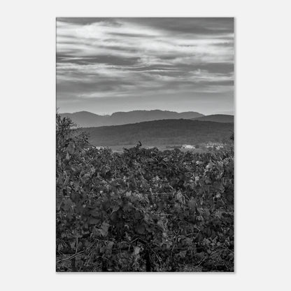 2eab3380-6f52-4f86-aeea-2cba08087d72