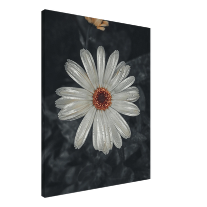 2eac2b28-f130-4311-ac58-d7048b018fff