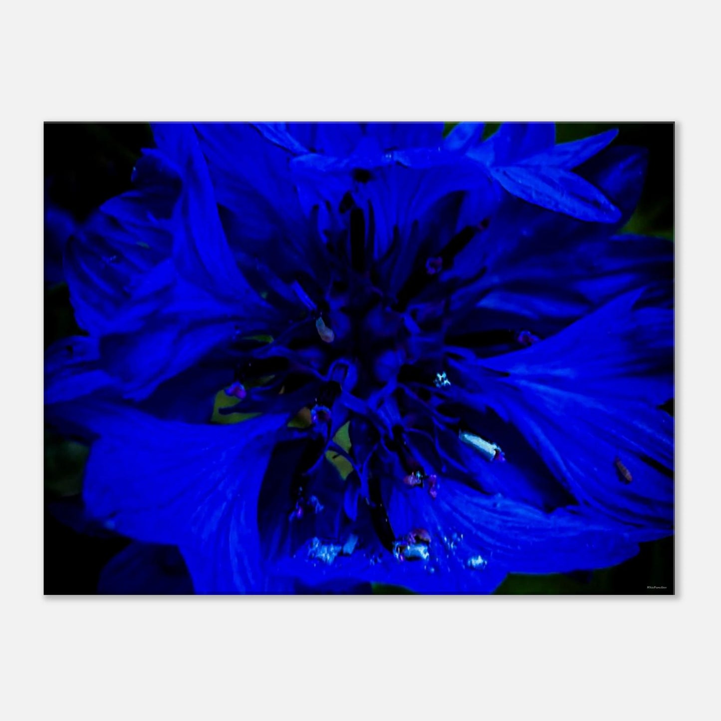 2eae8310-eecd-4228-a48b-8f26c24cb886