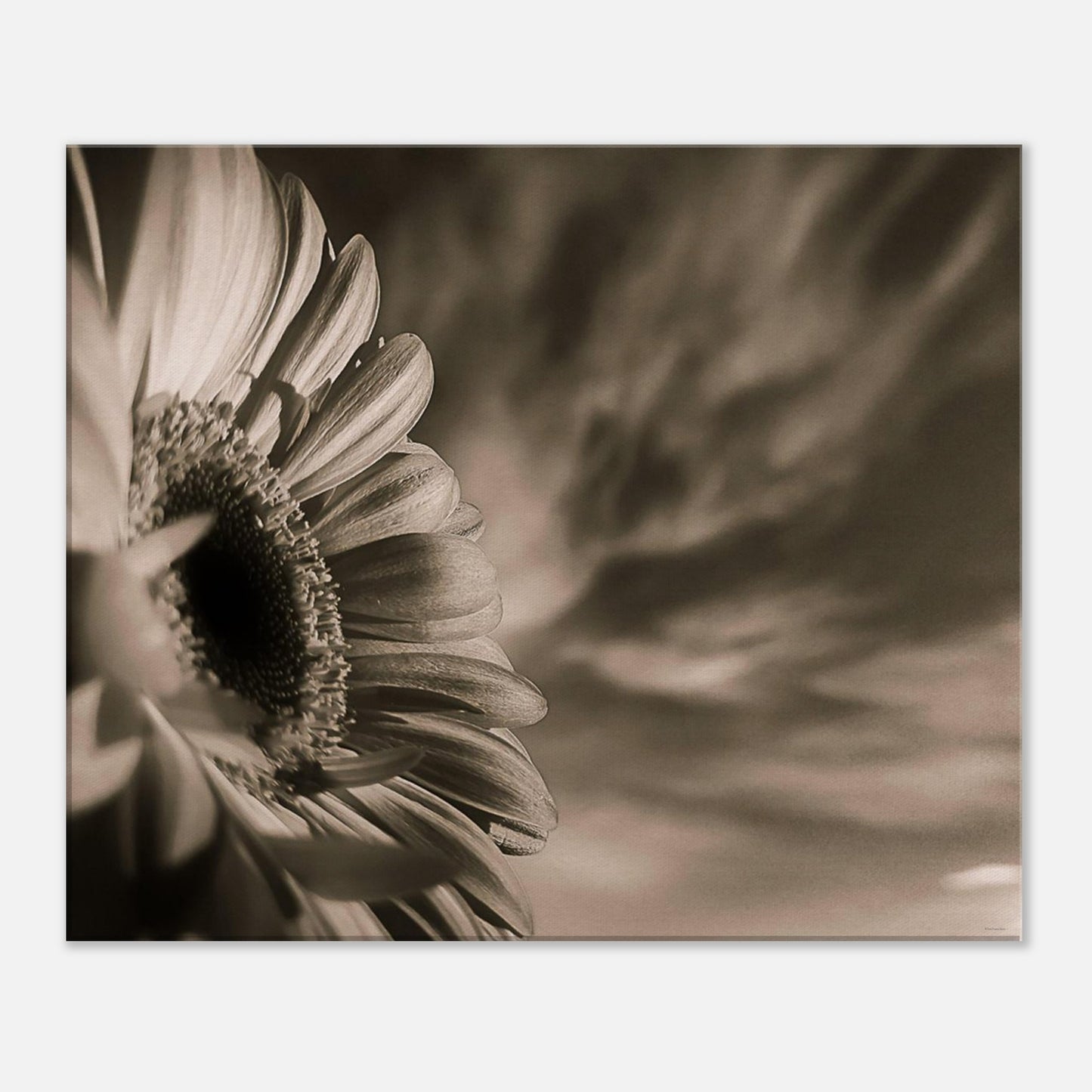 2ee23fb9-25ca-477b-a993-0960744de6db