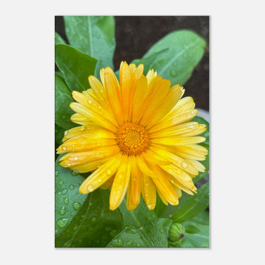 2ef62ba9-e246-4453-bdd3-c015de8d8b3b