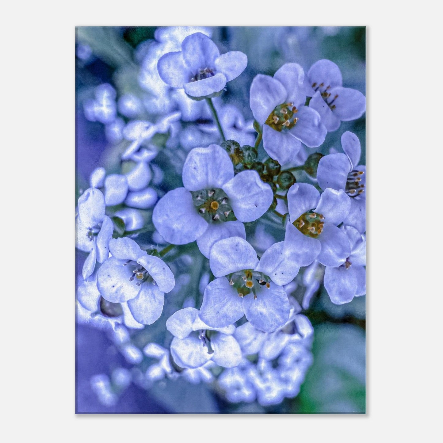 2f04a4bf-b294-4cee-887d-88e3f6178f27