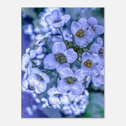 2f04a4bf-b294-4cee-887d-88e3f6178f27