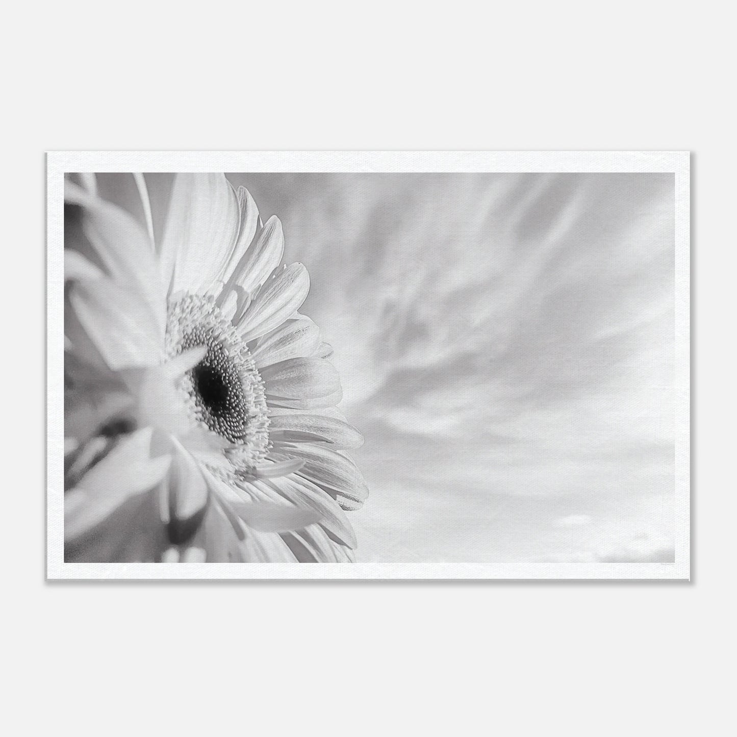 2f5f7ca7-226f-4dcf-9598-dffc6e9a3532