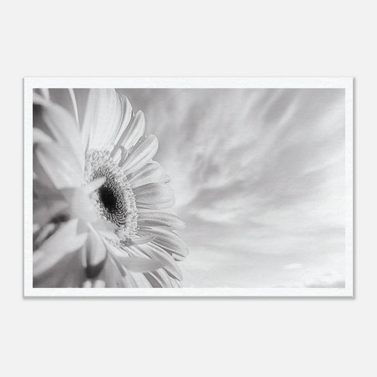 2f5f7ca7-226f-4dcf-9598-dffc6e9a3532