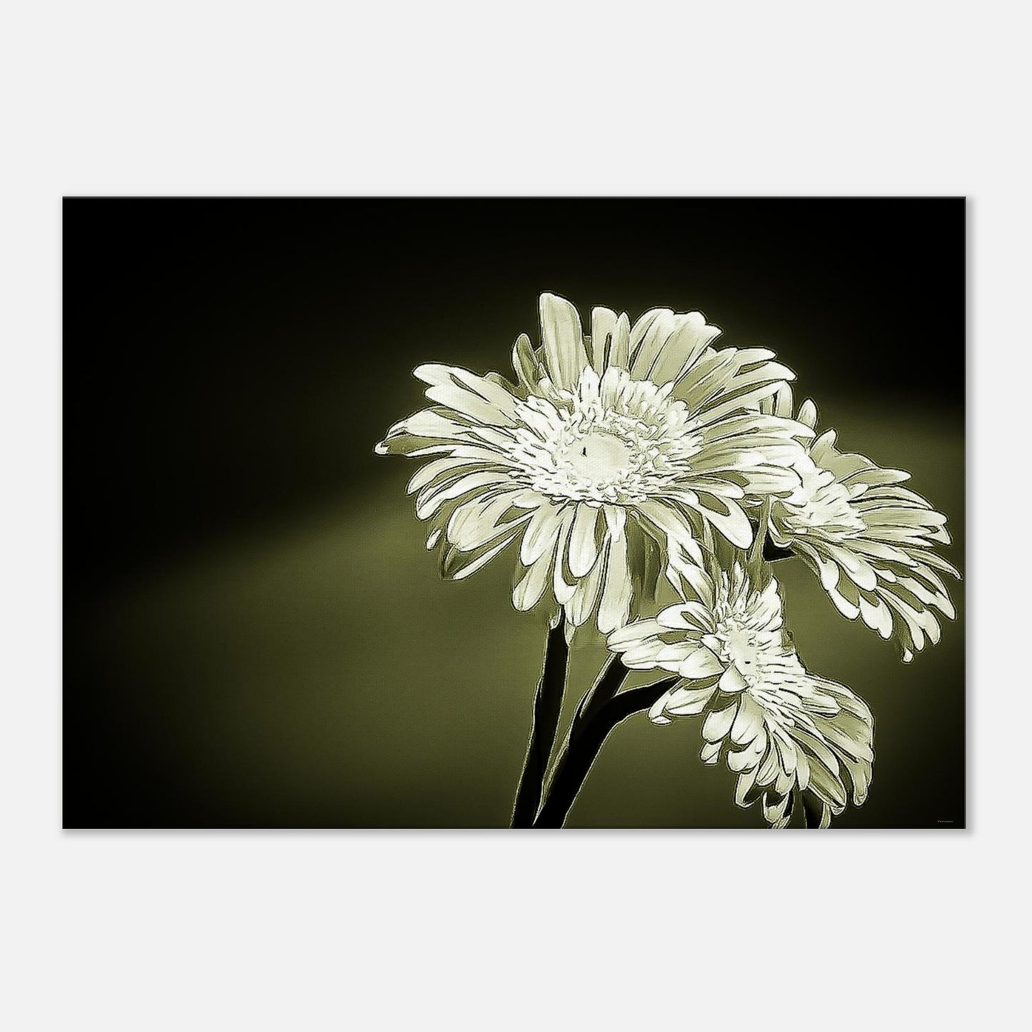 2f936261-2556-4740-a6e5-4da65d008064