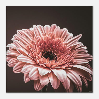 2fbec37d-9dfd-49c8-b1ed-8d3148f29a6f