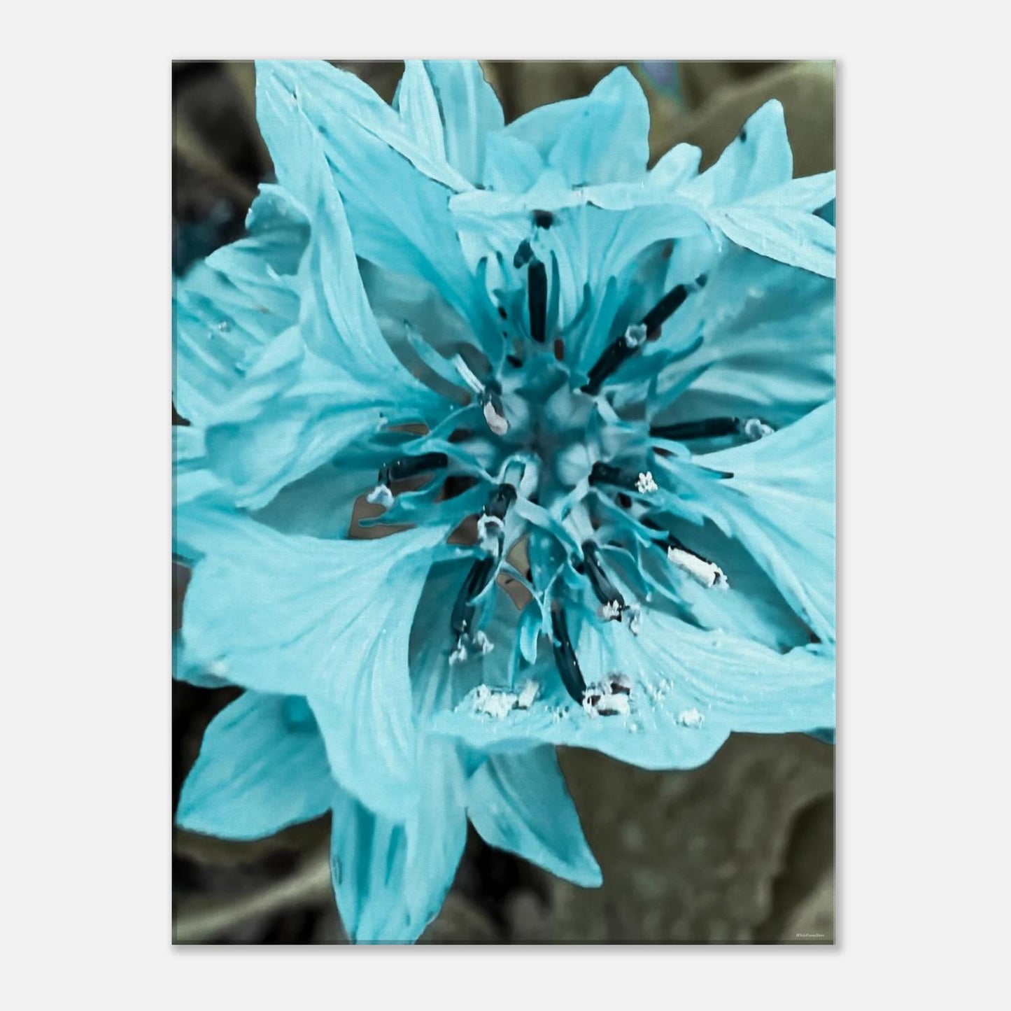 2fd95023-f913-4ced-bda8-d347cd06c170