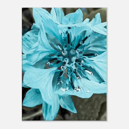 2fd95023-f913-4ced-bda8-d347cd06c170