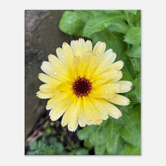 2ff0753c-5133-4fb7-ae92-3071e0a8eac8