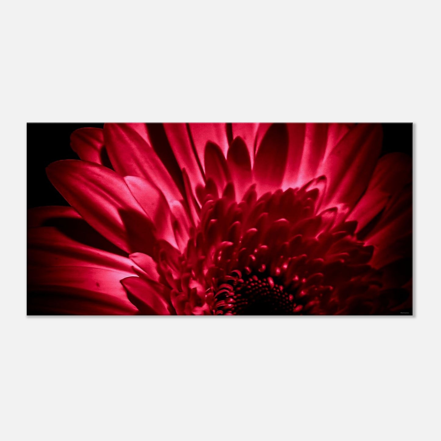 30866e9f-1dc0-4174-b3c7-65a8c7940457