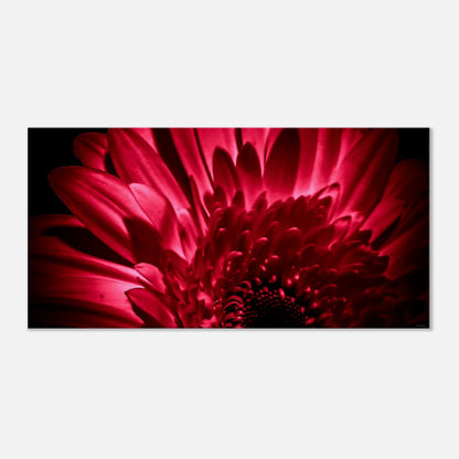 30866e9f-1dc0-4174-b3c7-65a8c7940457