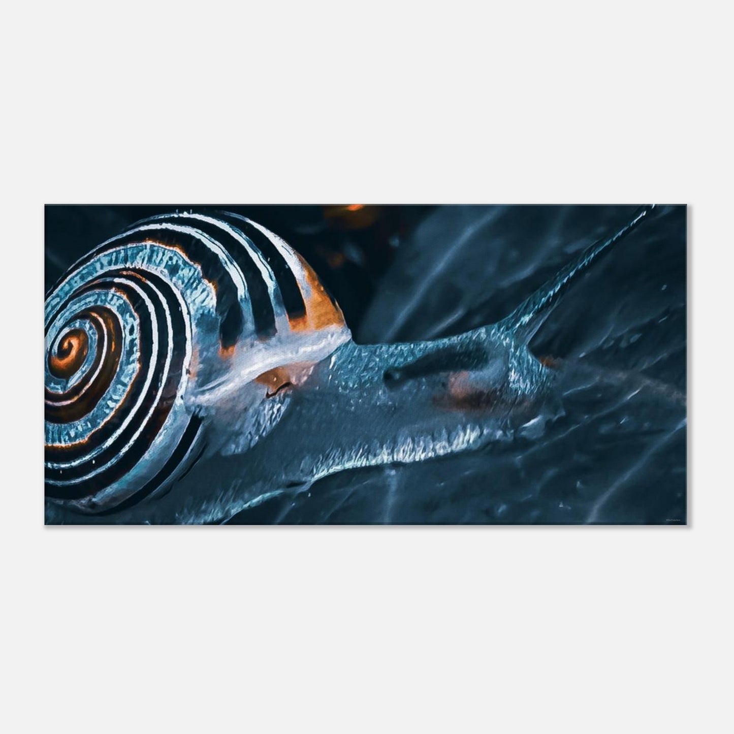 30bfd08d-6745-40ba-9d5d-ee24d7453f6e